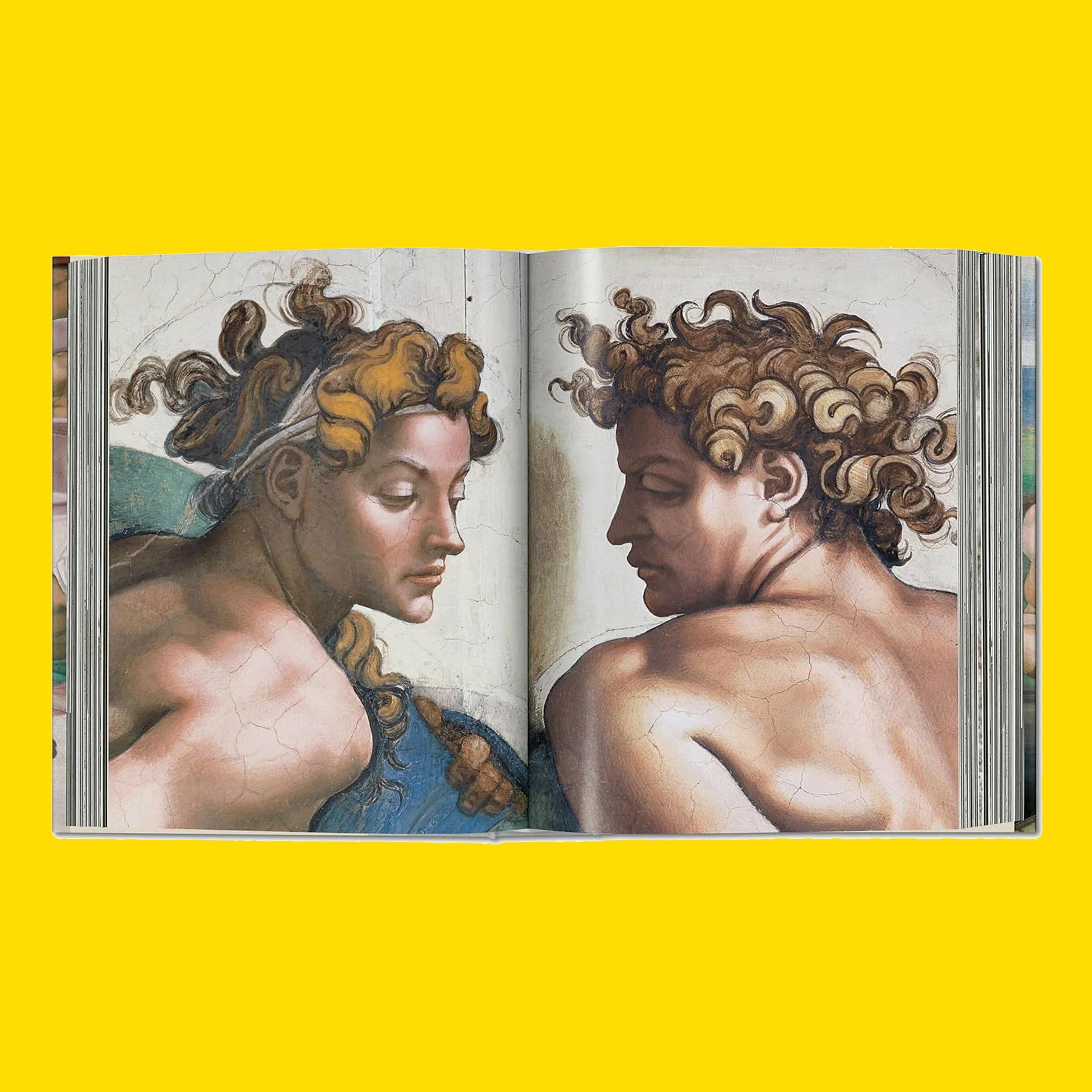 Fine Art Coffee Table Books