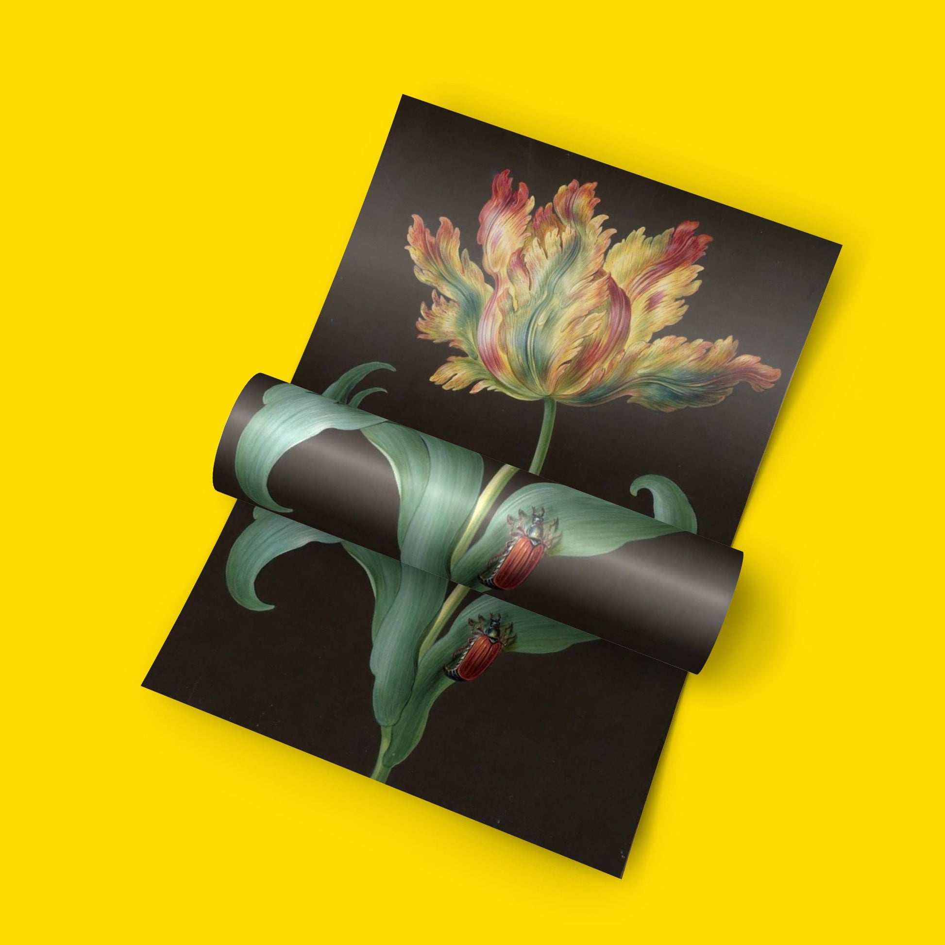 Baroque floral art print by Barbara Regina Dietzsch displayed in modern living room, vintage botanical wall art for home decor