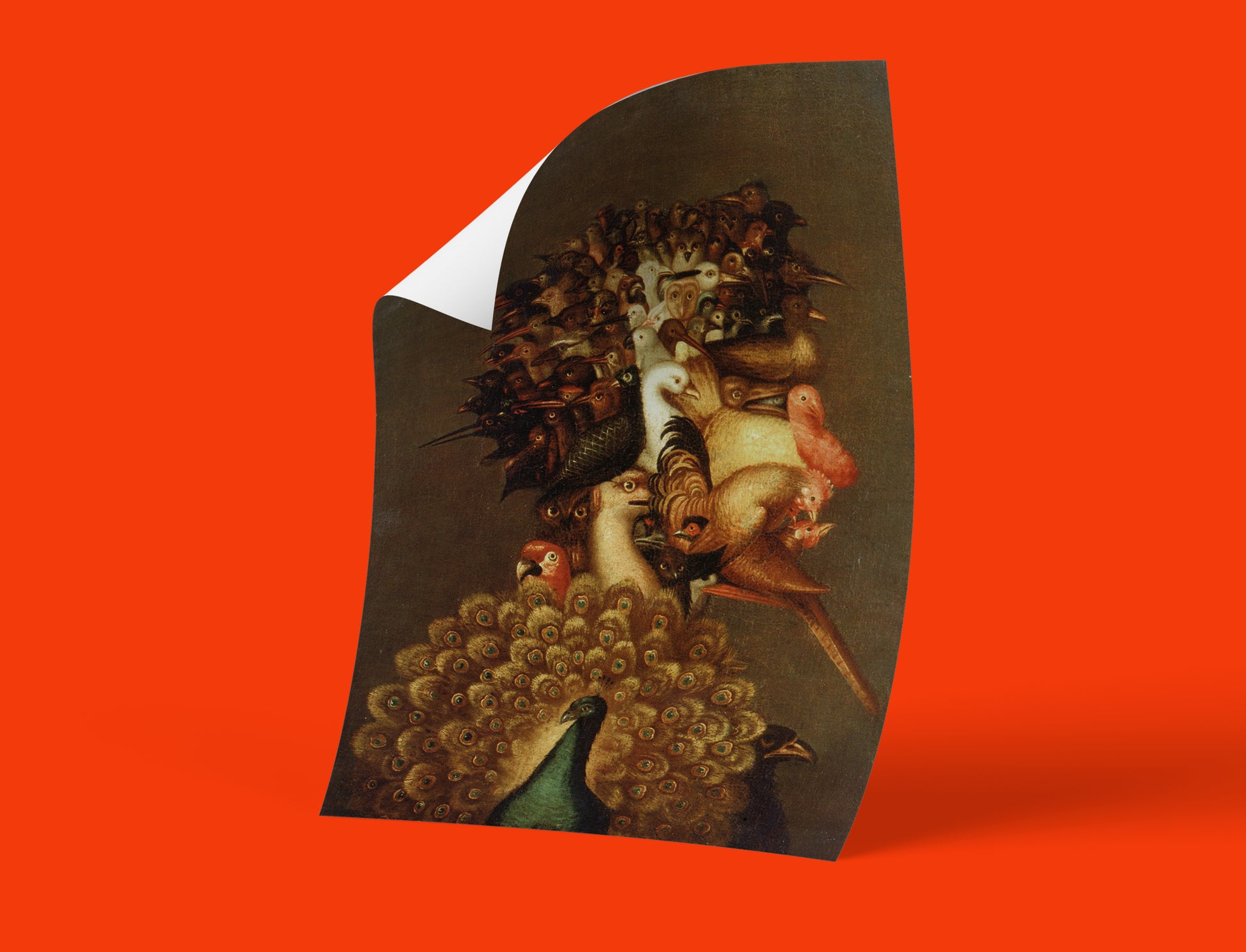 Classic European Air element composite portrait art print, Arcimboldo birds forming human face, high quality wall art for art collectors