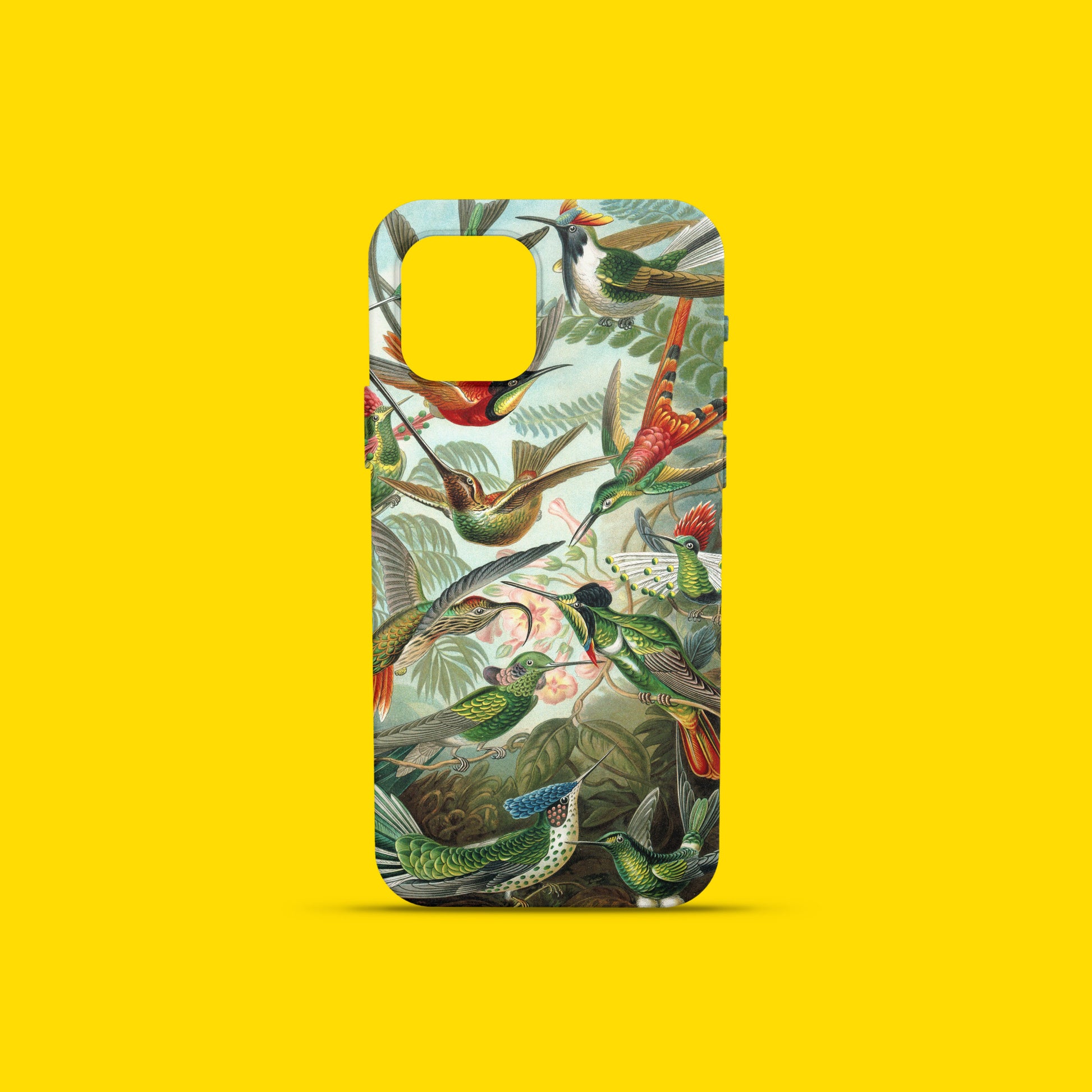 Close-up of an ARTSNOB phone case featuring a detailed Ernst Haeckel hummingbird print, ideal for art lovers and bird enthusiasts.