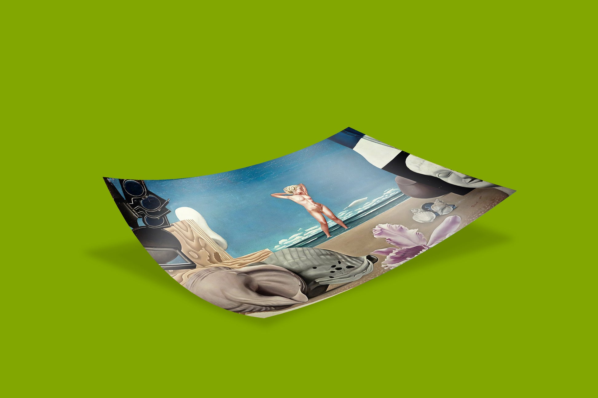 Edward Baird's "The Birth of Venus" as a premium wall art print, showcasing the juxtaposition of classical Renaissance themes with modern Scottish Surrealism.