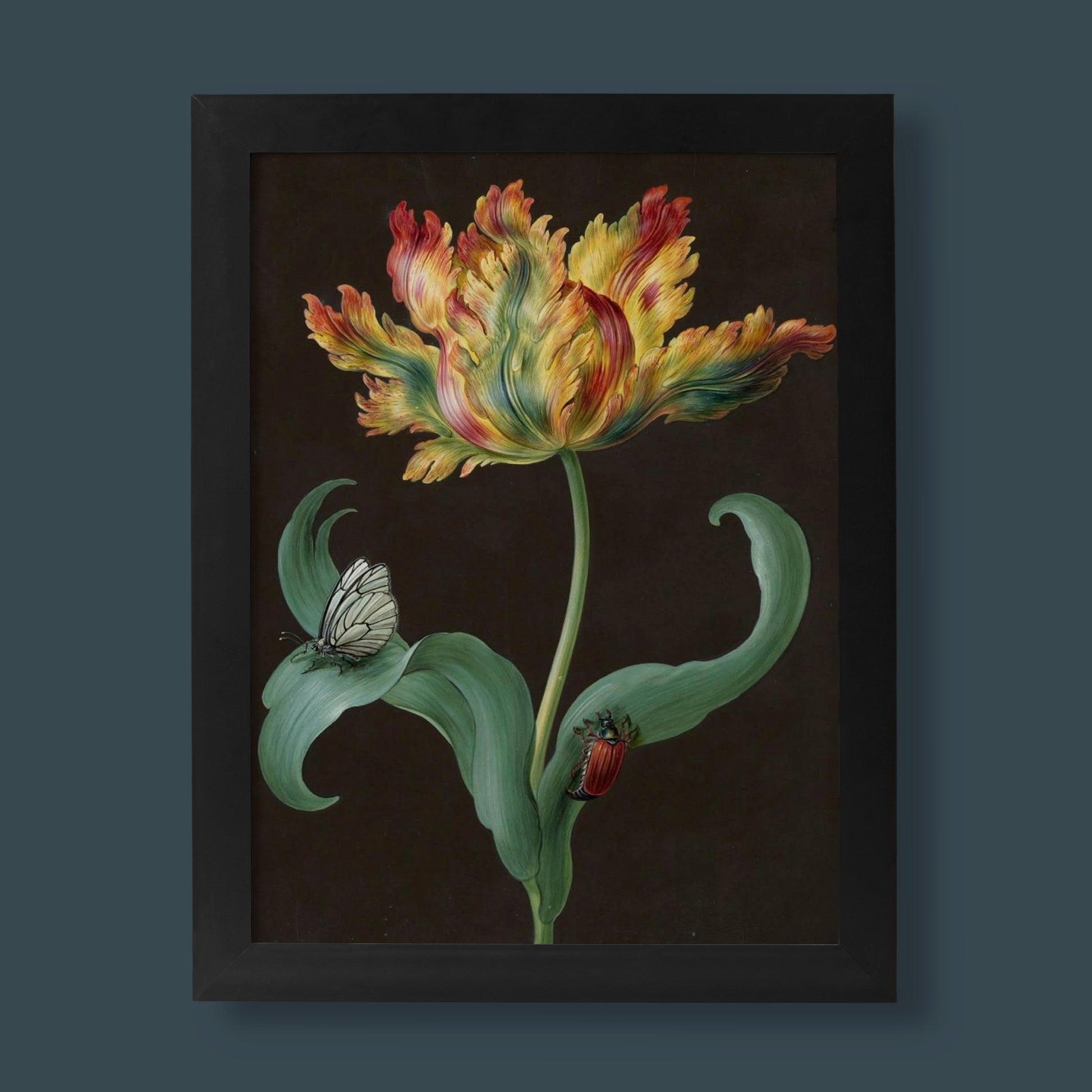 Barbara Regina Dietzsch Tulip with Butterfly and Maybeetle fine art print on black background, botanical wall art poster