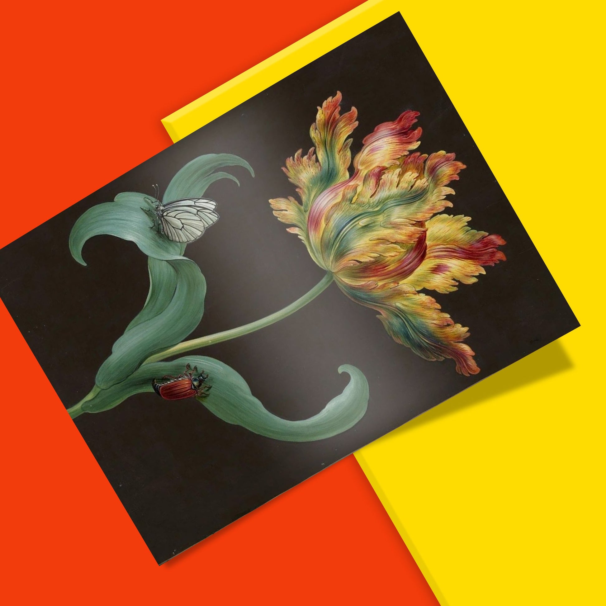 Close-up detail of 18th century tulip painting art print showing vibrant colours and botanical illustration technique, museum quality wall art