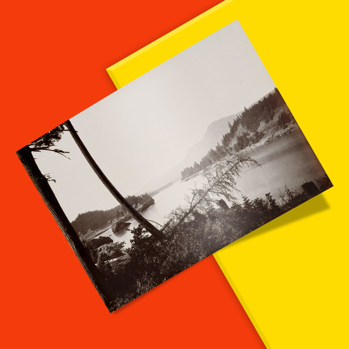 Close-up detail of a giclée print of Carleton Watkins’ Cascades photograph showing fine tonal depth and sharp 350 dpi clarity