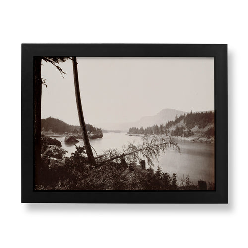 Carleton Watkins View on the Columbia, Cascades vintage landscape photography fine art print, a misty river framed by tall fir trees