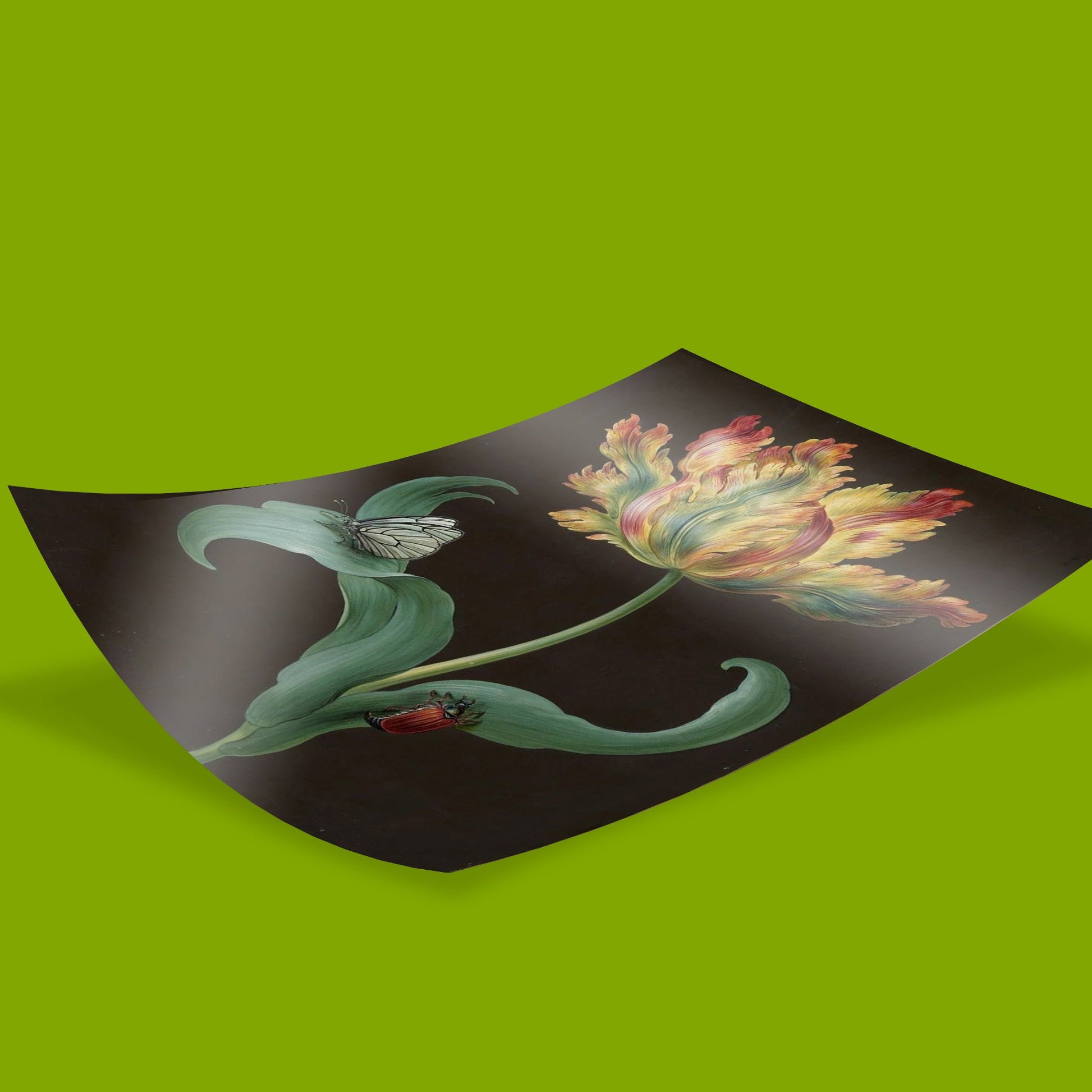 Barbara Regina Dietzsch botanical art prints available in multiple sizes, framed vintage flower wall art for bedroom and dining room