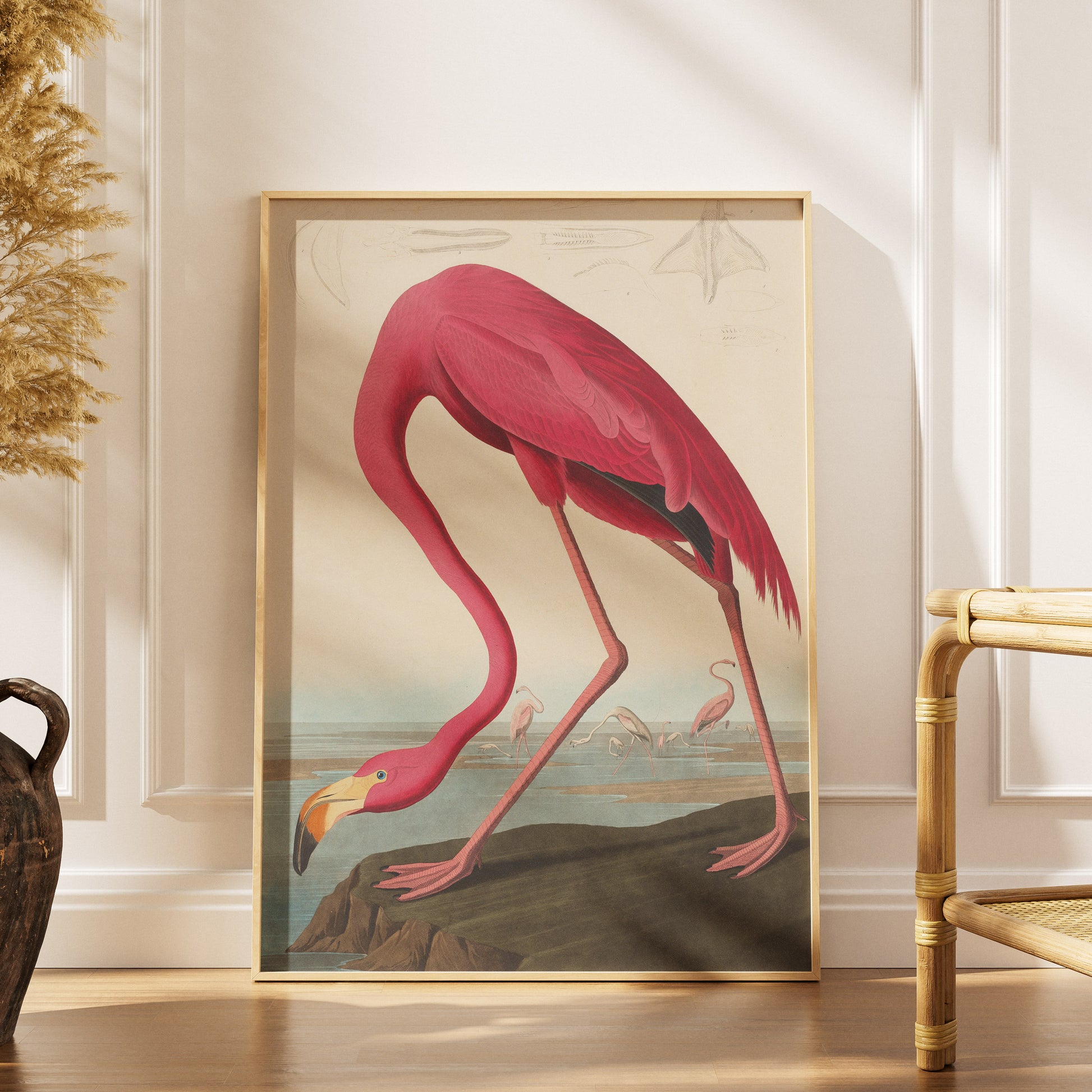 High-resolution giclée art print of Audubon's American Flamingo from Birds of America collection, museum quality reproduction