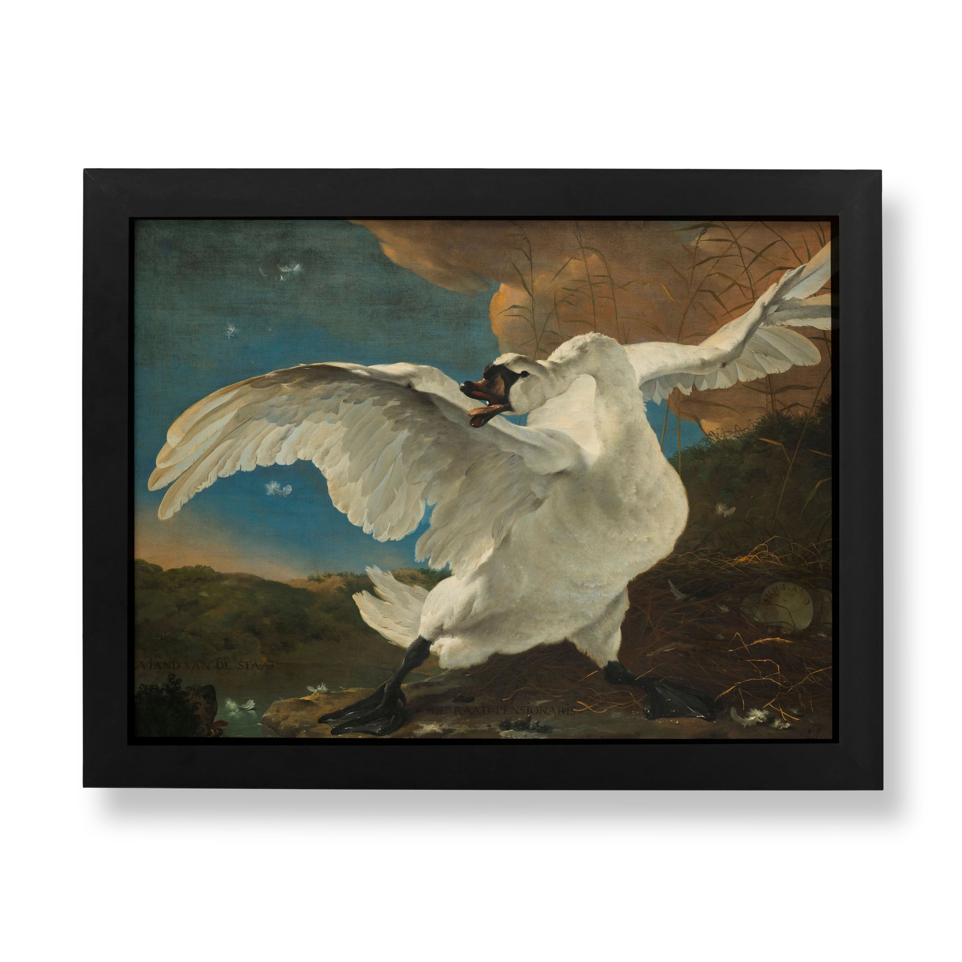 A framed art print depicting a dramatic painting of a white swan with wings spread, set against a dark blue sky and brown landscape, enclosed in a black frame.