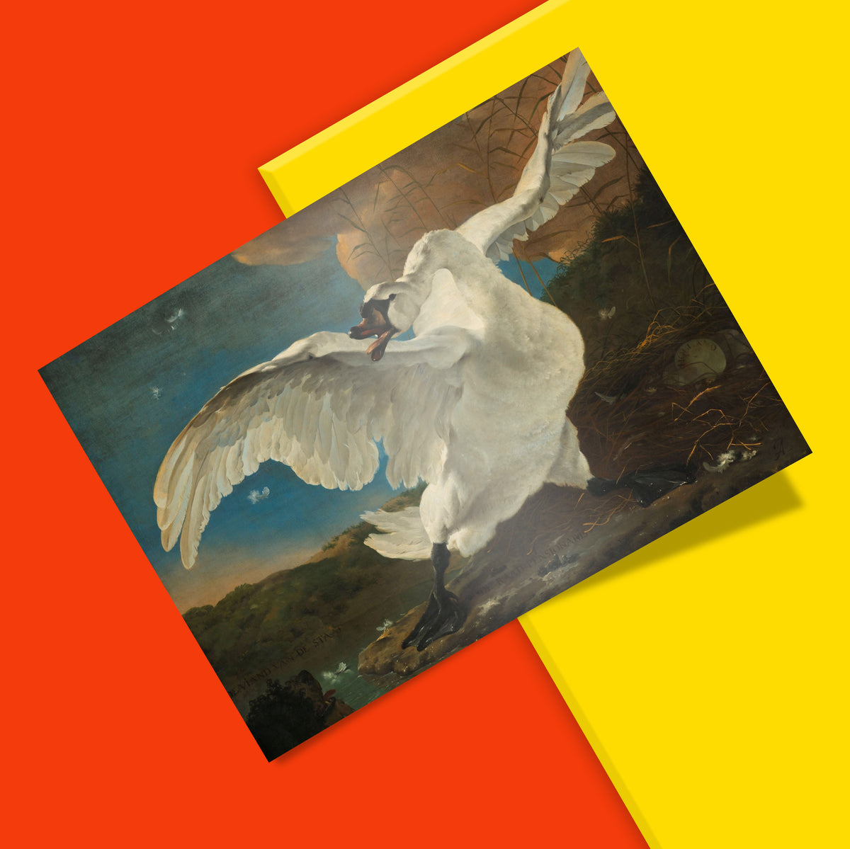 A square art print featuring a classical painting of a white swan with wings spread, set against a bold background split diagonally between bright red and yellow.