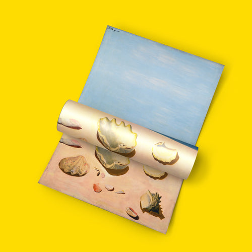 Japanese modernist oil painting art print by Kotaro Migishi showing giant clamshells cast in dramatic sunlight on a vast, desolate beach