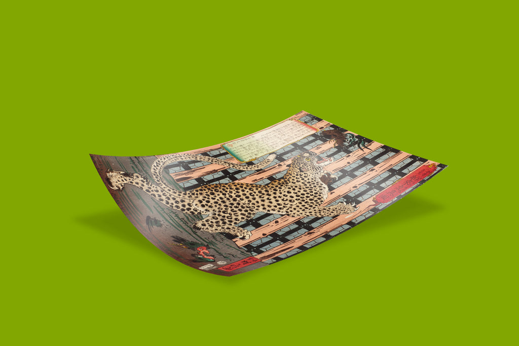 Traditional Japanese leopard woodblock print by Kawanabe Kyosai, Edo period wall art showing roaring spotted big cat with magpie and geometric architectural background