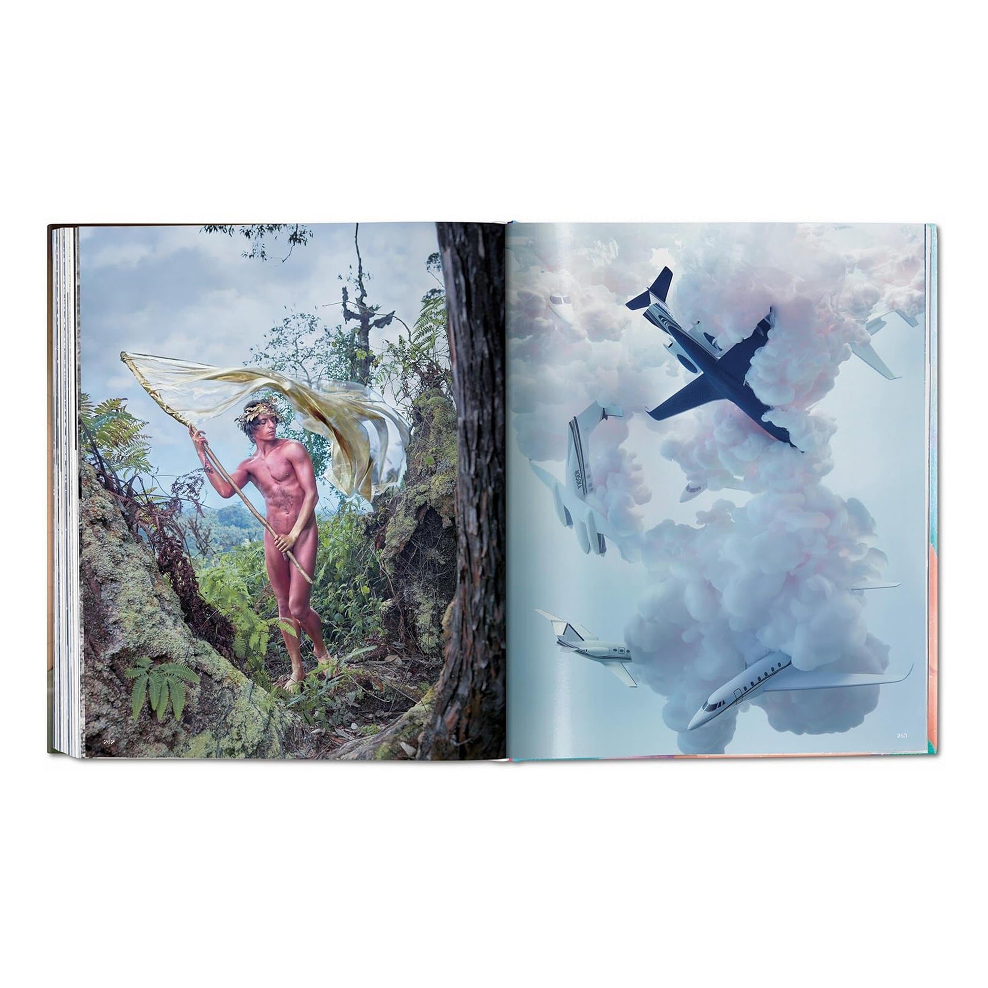 A fine art image by David LaChapelle of a man holding a flag in a lush forest, with commercial jets flying in a sky filled with plumes of smoke on the adjacent page.