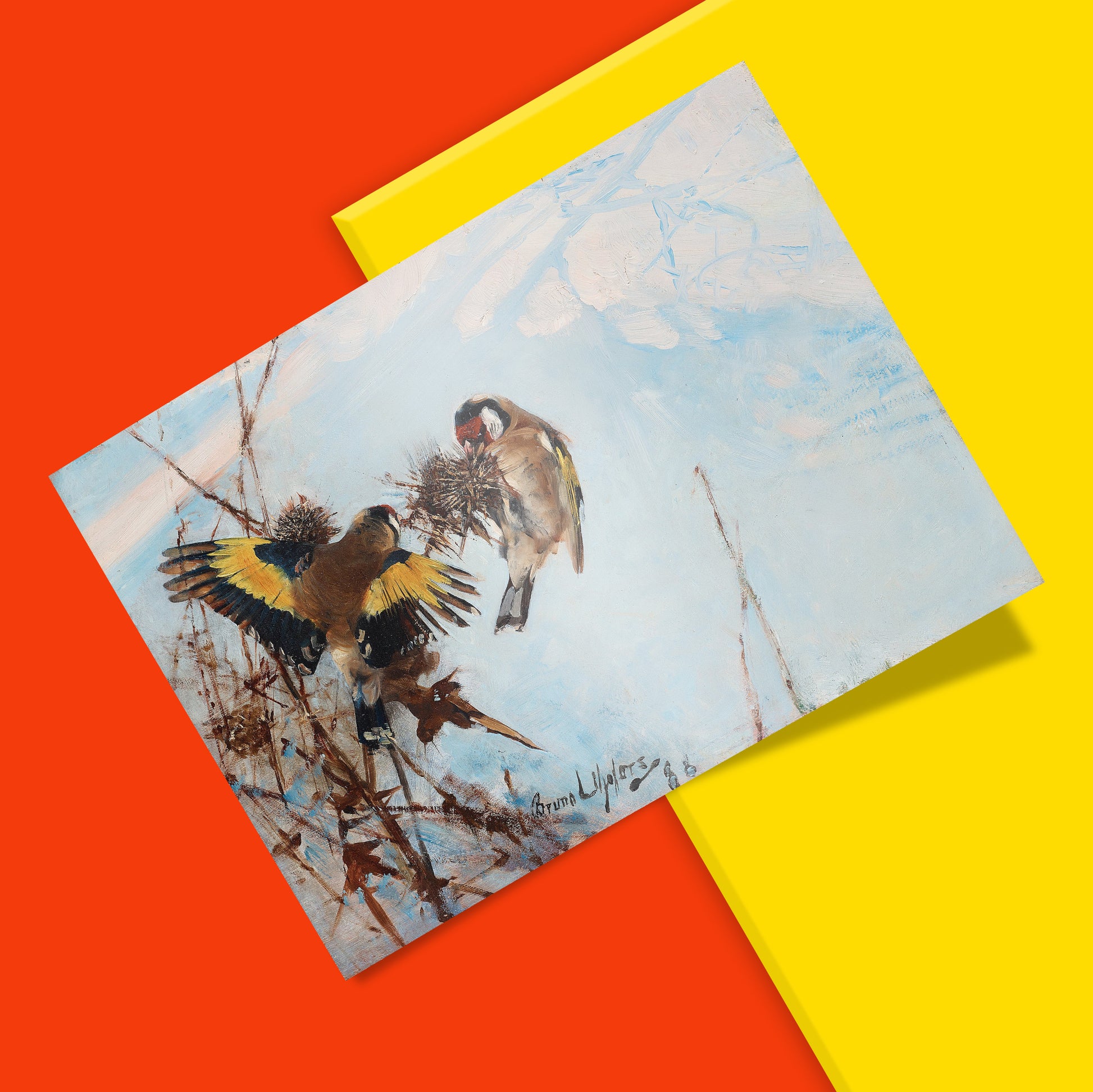 Close-up detail of Bruno Liljefors Goldfinches art print showcasing vivid colours and brushwork in Swedish wildlife painting, giclée quality reproduction