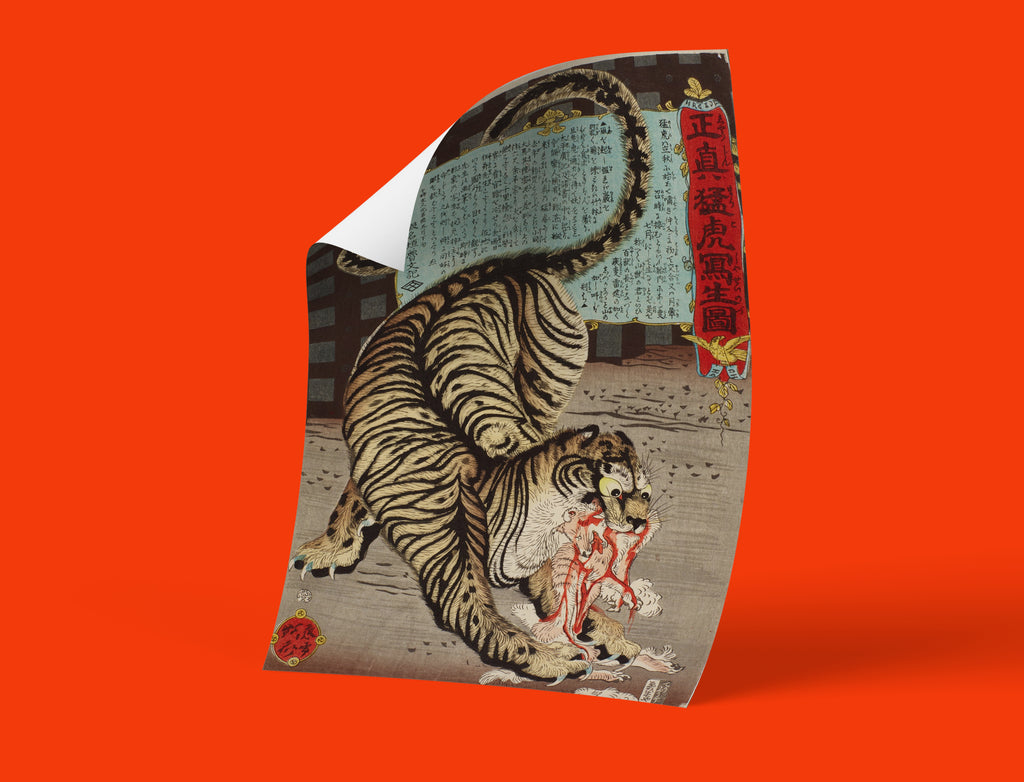 Fine art print of Kyosai's famous tiger drawing from life, featuring realistic tiger anatomy with black stripes on tan fur, perfect wall art for art collectors
